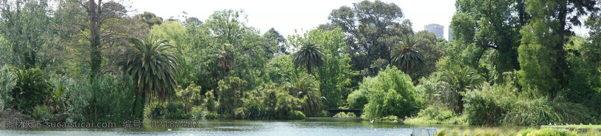 澳洲风景 澳洲 风景 自然风景 风光 自然风光 景观 自然景观 树木 湖水 澳大利亚 旅游摄影 国外旅游 白色