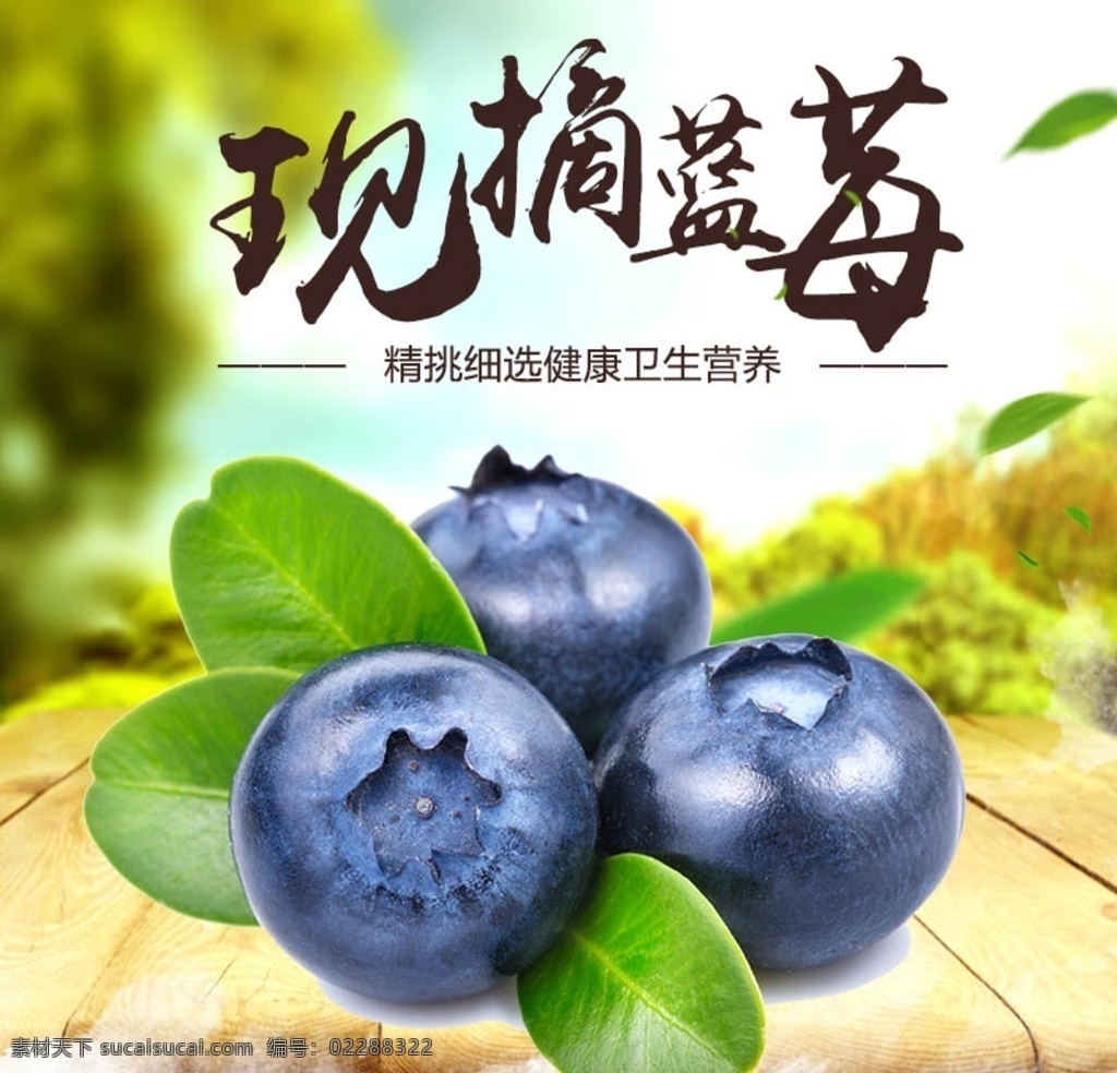 蓝莓水果海报 水果轮播图 青提 蓝莓 苹果 蓝莓节日 蓝莓促销 蓝莓活动 商城 店 零食 卖 水果 新鲜 首页 网站 轮播图 轮播 淘宝 装修 界面 模板 广告设 甜 海报 广告 文化 展板 水果店 灯箱宣传 专卖 蓝莓素材 高清蓝莓主图 超市 网站首页 蓝莓轮播广告 原创共享 淘宝界面设计 banner