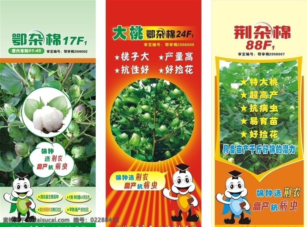 棉花易拉宝 棉花展架 棉花宣传单 棉花海报 棉花展板 棉花dm 棉花传单 棉花 农作物 x展架
