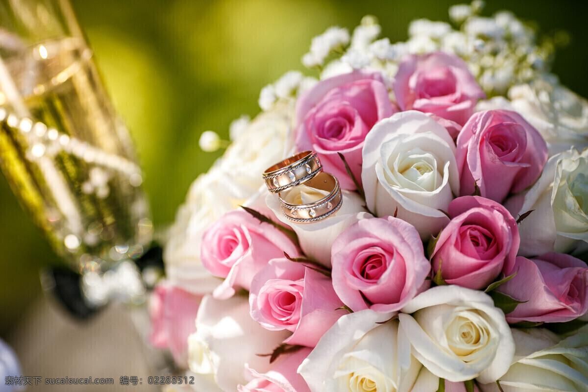 玫瑰花 上 结婚 戒 结婚对戒 戒指 美丽鲜花 花卉 美丽花朵 婚礼花朵 婚礼鲜花 节日庆典 生活百科