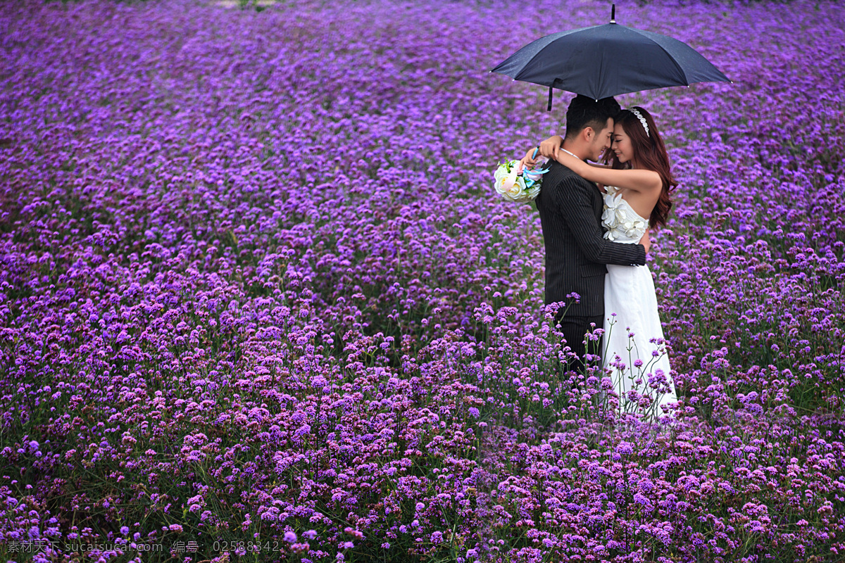 婚纱 紫色 美女 帅哥 恋人 婚纱照 花园 花田 天空 花 微笑的恋人 拥抱 一对情侣 一对恋人 情侣 人物图库 人物摄影