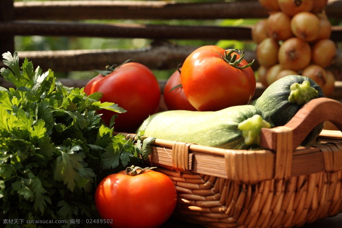 各种 蔬菜 食物 植物 健康生活 篮子 青菜 西红柿 丝瓜 蔬菜图片 餐饮美食