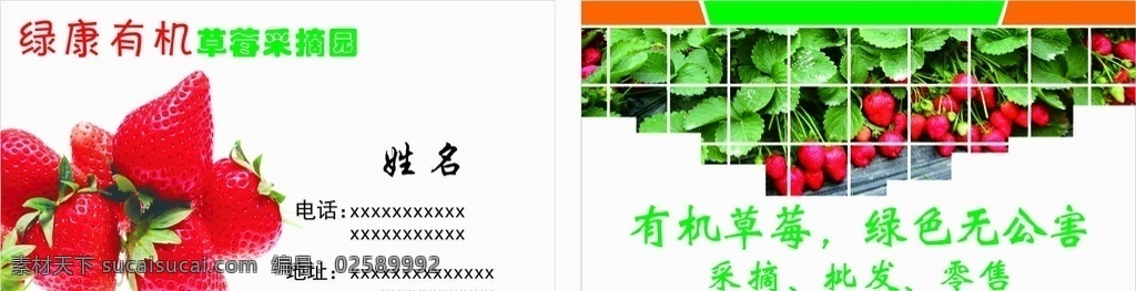 草莓园名片 名片 草莓 草莓采摘 批发 零售 名片卡片