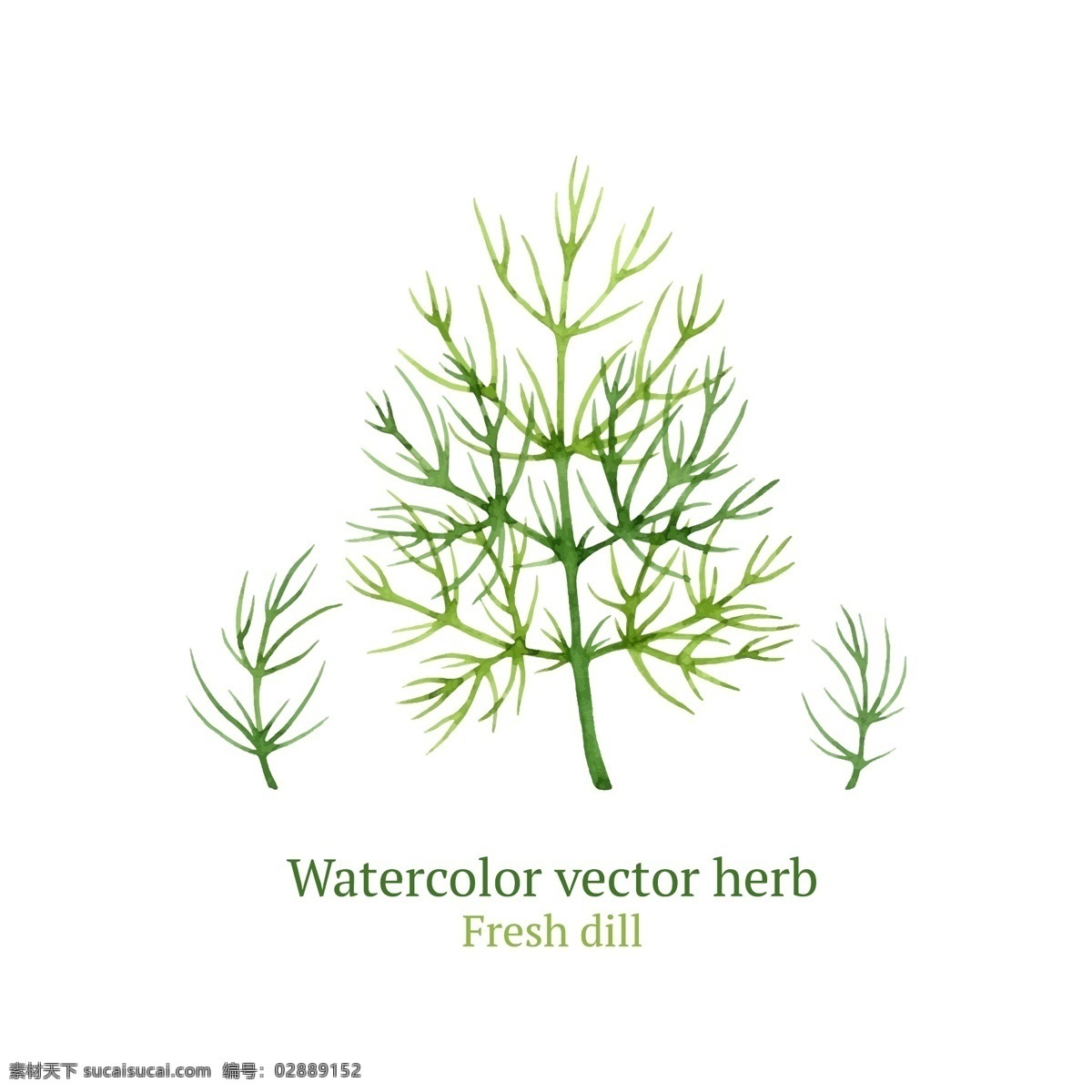 绿色 艺术 水彩 绘 植物 插画 清新 手绘 水彩绘 叶子