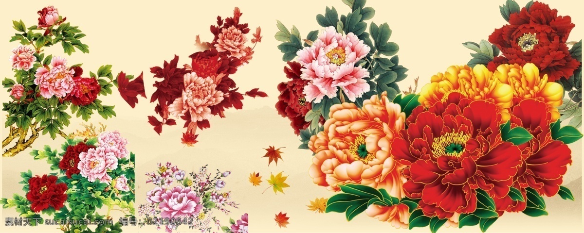 牡丹花 富贵牡丹花 牡丹 牡丹花大全 牡丹花集合 国画牡丹花 洛阳牡丹花 花开富贵 国色天香 粉色牡丹花 盛开的牡丹花 分层