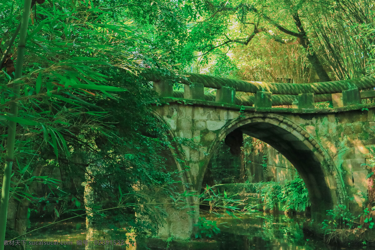 石绳桥 重庆 鹅岭公园 石桥 桥 绿树绿荫 水 建筑园林 建筑摄影