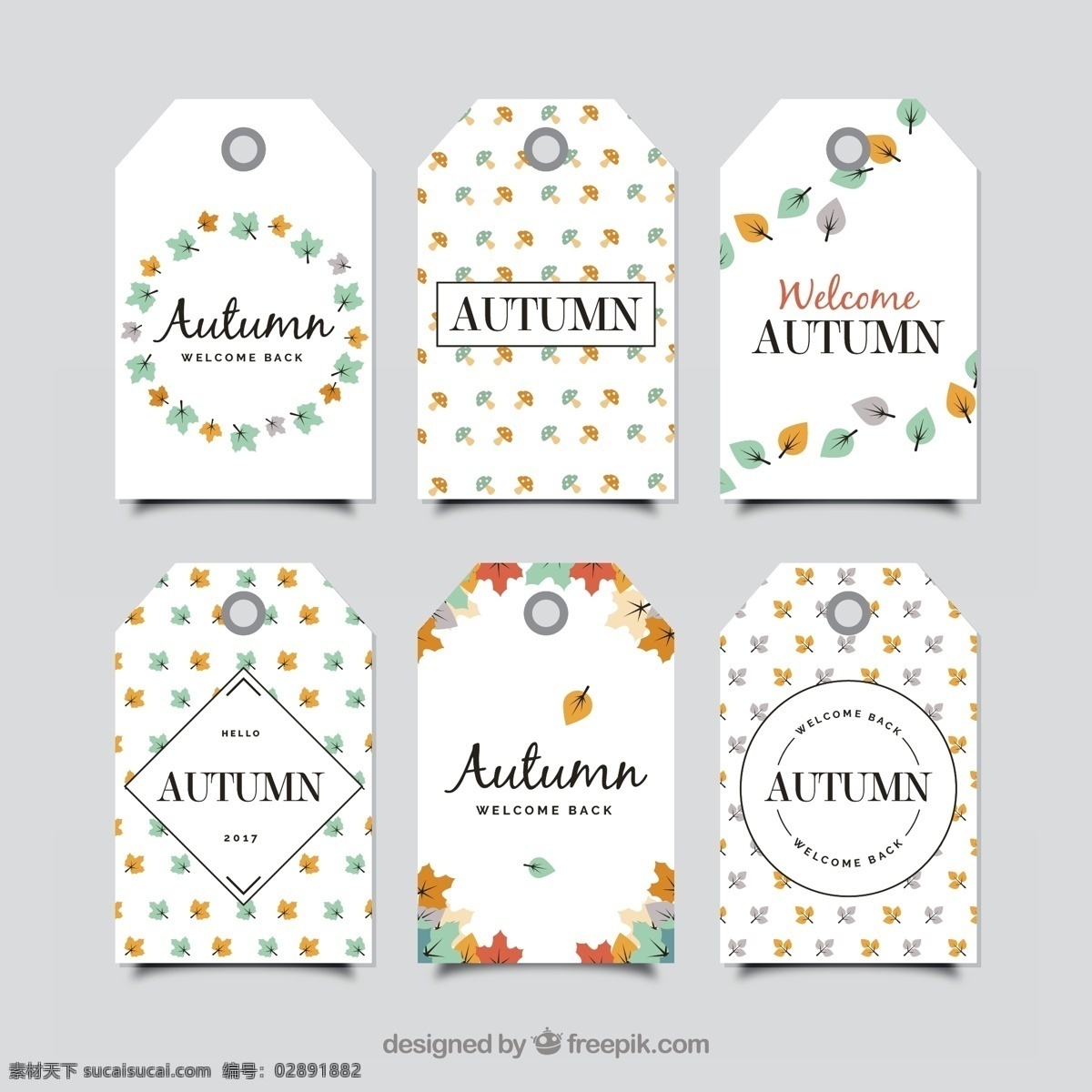 秋天 树叶 lovley 包 标签 叶 自然 可爱 五颜六色 优雅 平 色彩 平面设计 经典 温暖 树枝 秋叶 季节