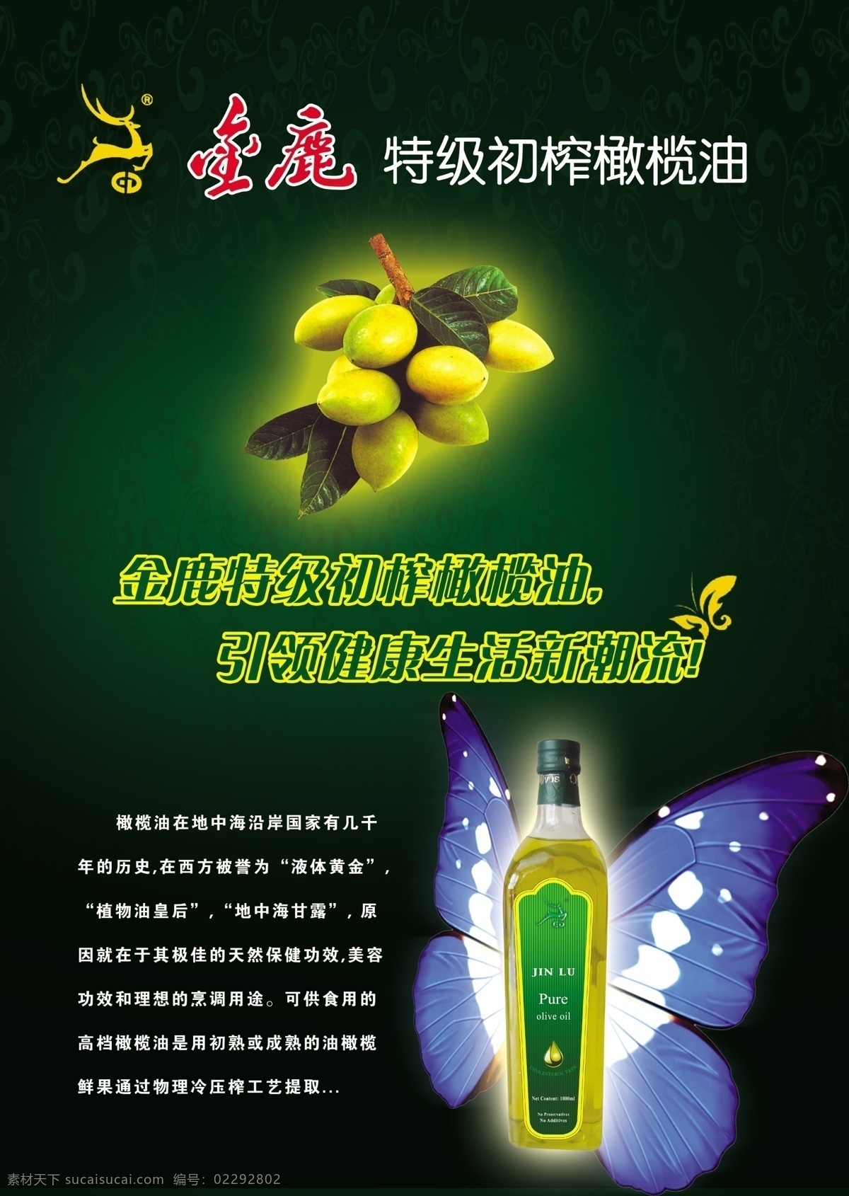 金鹿 橄榄油 海报 橄榄果 黑色背景 蝴蝶翅膀 金鹿logo 特级 初 榨 引领 健康生活 新潮 流 油瓶 高清 分层 图 原创设计 原创海报