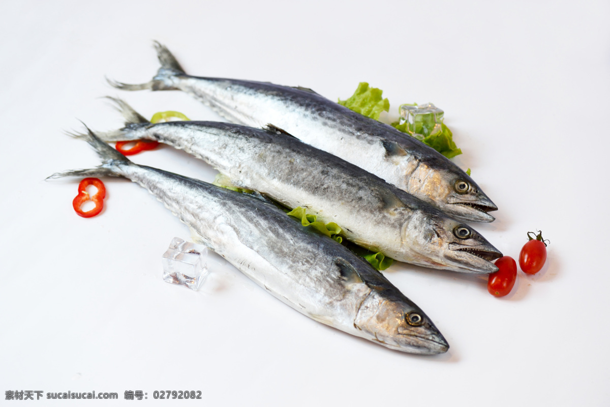 鲅鱼 海鲜 海鱼 鱼类 食材 餐饮美食 食物原料