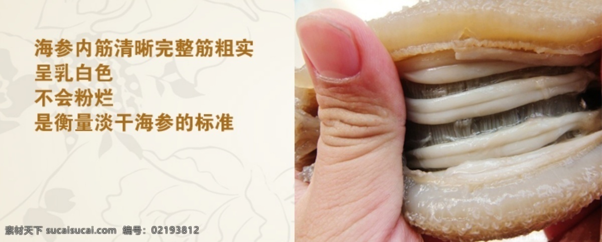 pop 补品 食品类详情页 手指 淘宝主图 天猫海报 网页模板 燕窝 参 详情 海参 模板下载 海参详情 海参淘宝海报 商品细节图 中文模板 源文件 淘宝素材 淘宝促销标签
