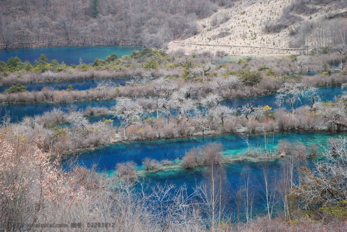 九寨沟 风景 美景 水 梯田 自然景观 山水风景