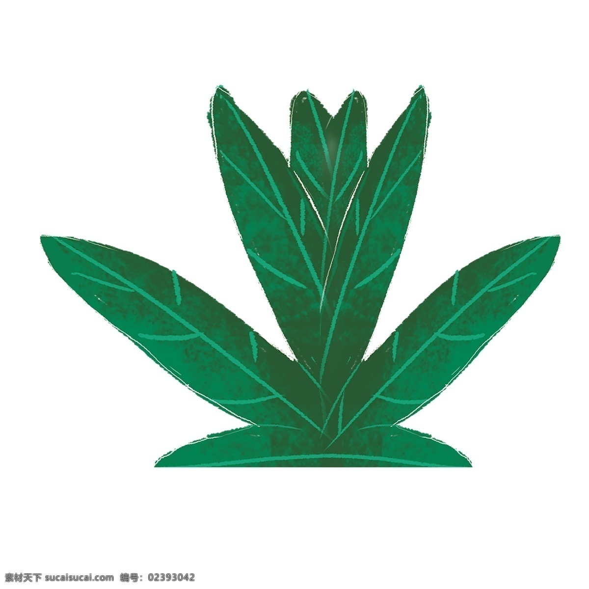 绿色植物 热带 树叶 元素 绿色 植物 环境 纹理 叶脉 真实 质感 装饰 大自然 保护环境 景色 光泽