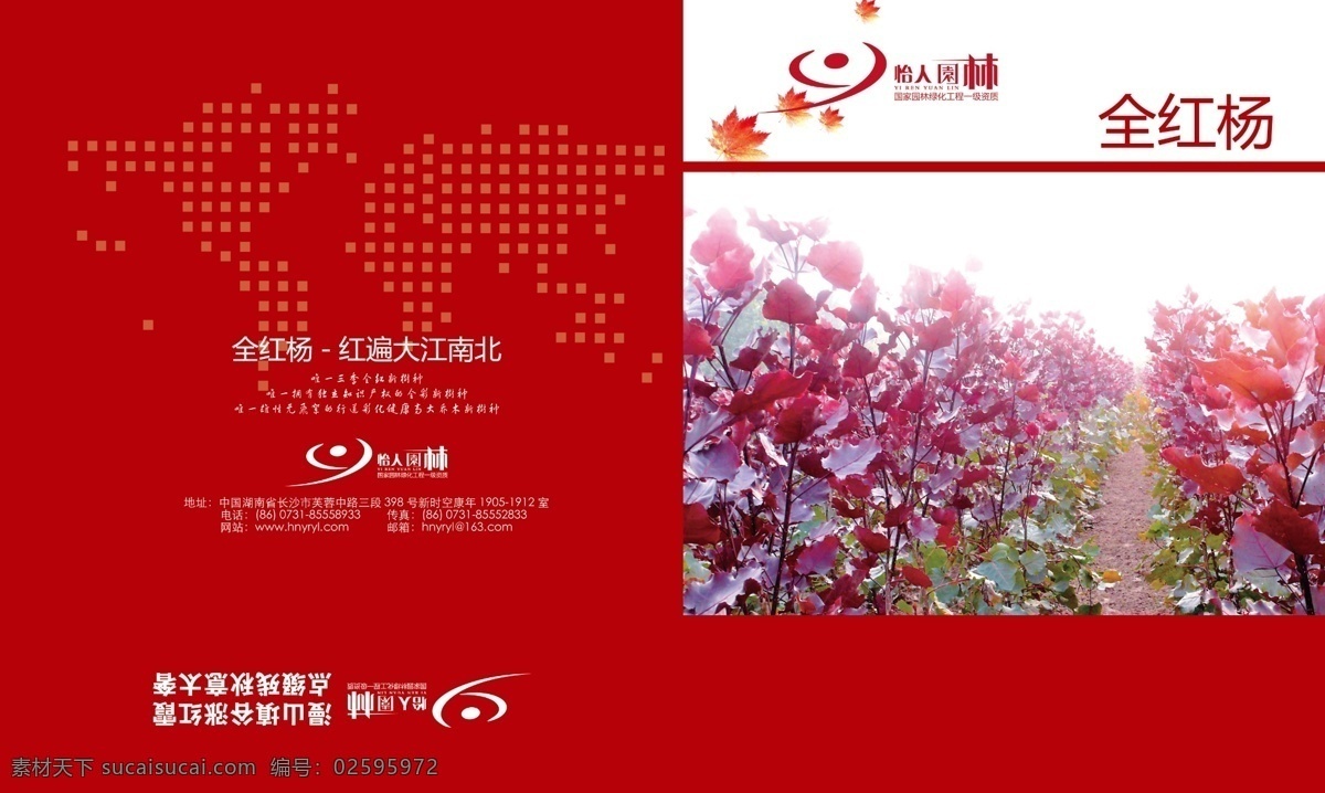 画册 封面 广告设计模板 红色底图 画册封面 画册设计 源文件 全红杨 其他画册封面
