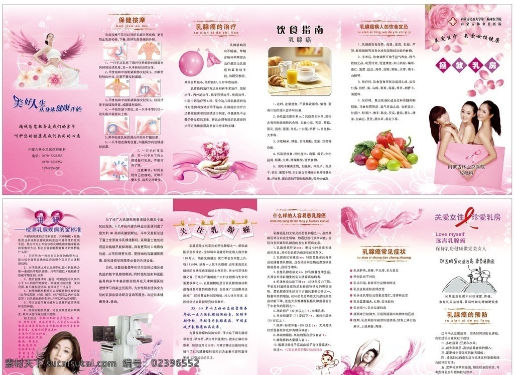乳腺癌 保健 关注乳腺癌 乳腺癌的治疗 饮食指南 女性 分层