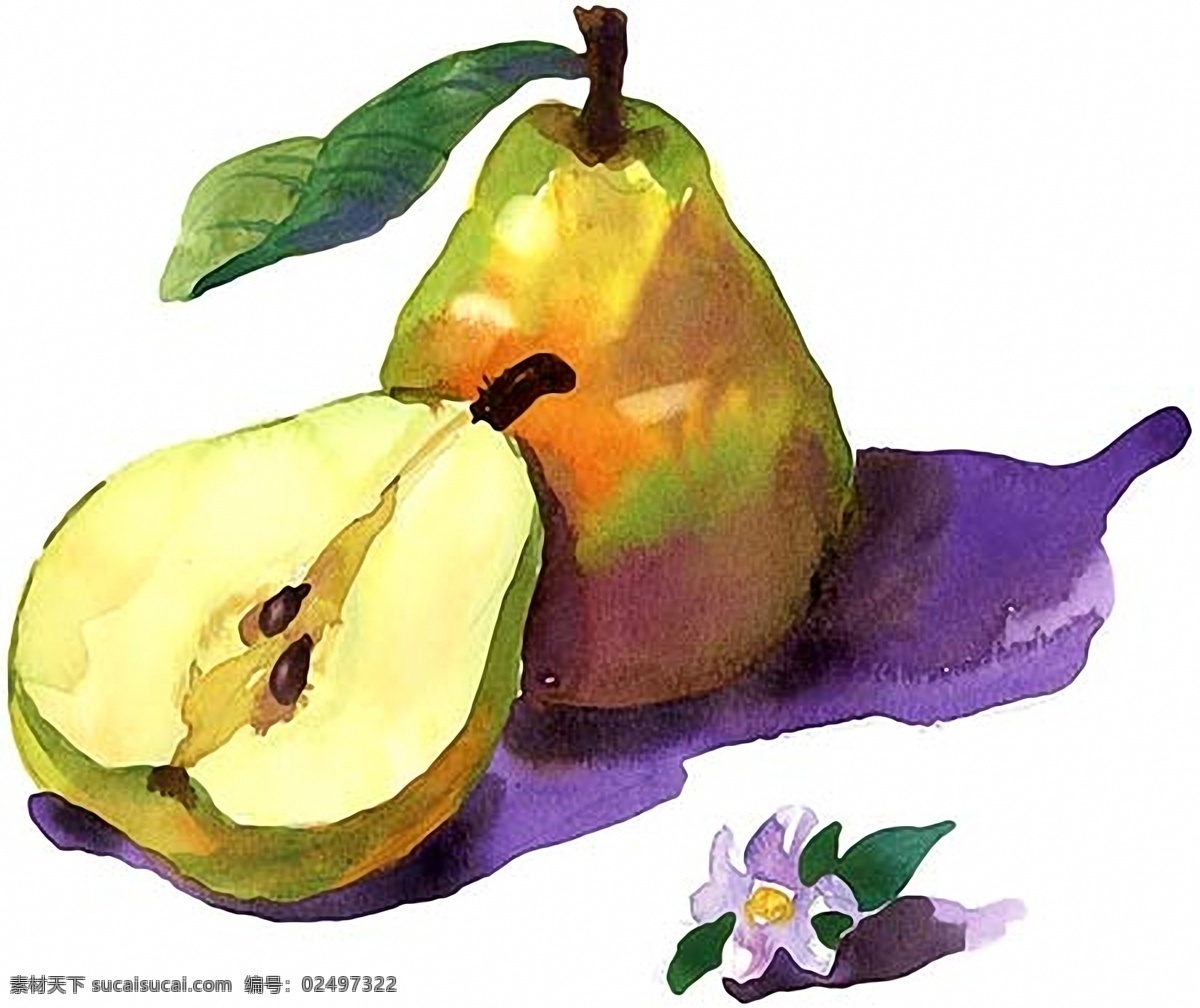 水彩画水彩静物018素材图片下载-素材编号02497322-素材天下图库