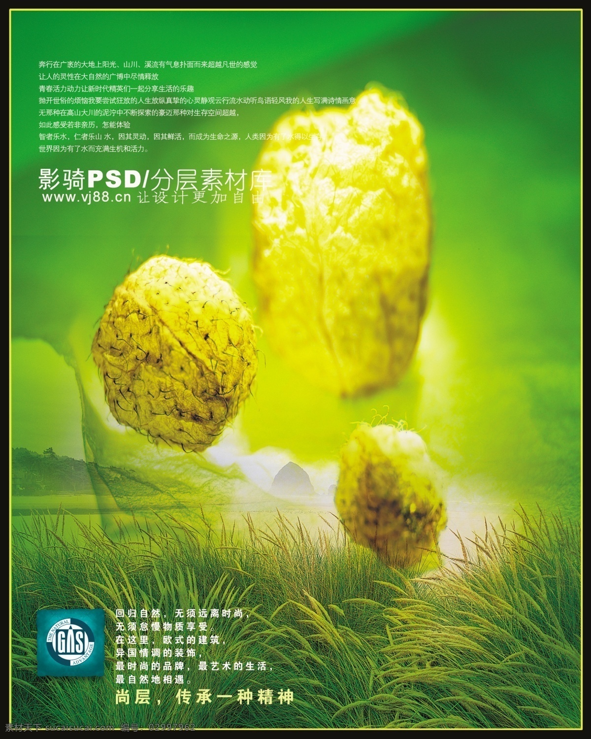 源文件 psd源文件 草地 海螺 树枝 小草 野草