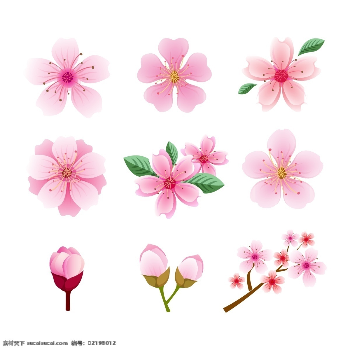 粉色 桃花 创意 图案 小清新 卡通 装饰 植物 花朵 鲜花 花瓣 树枝