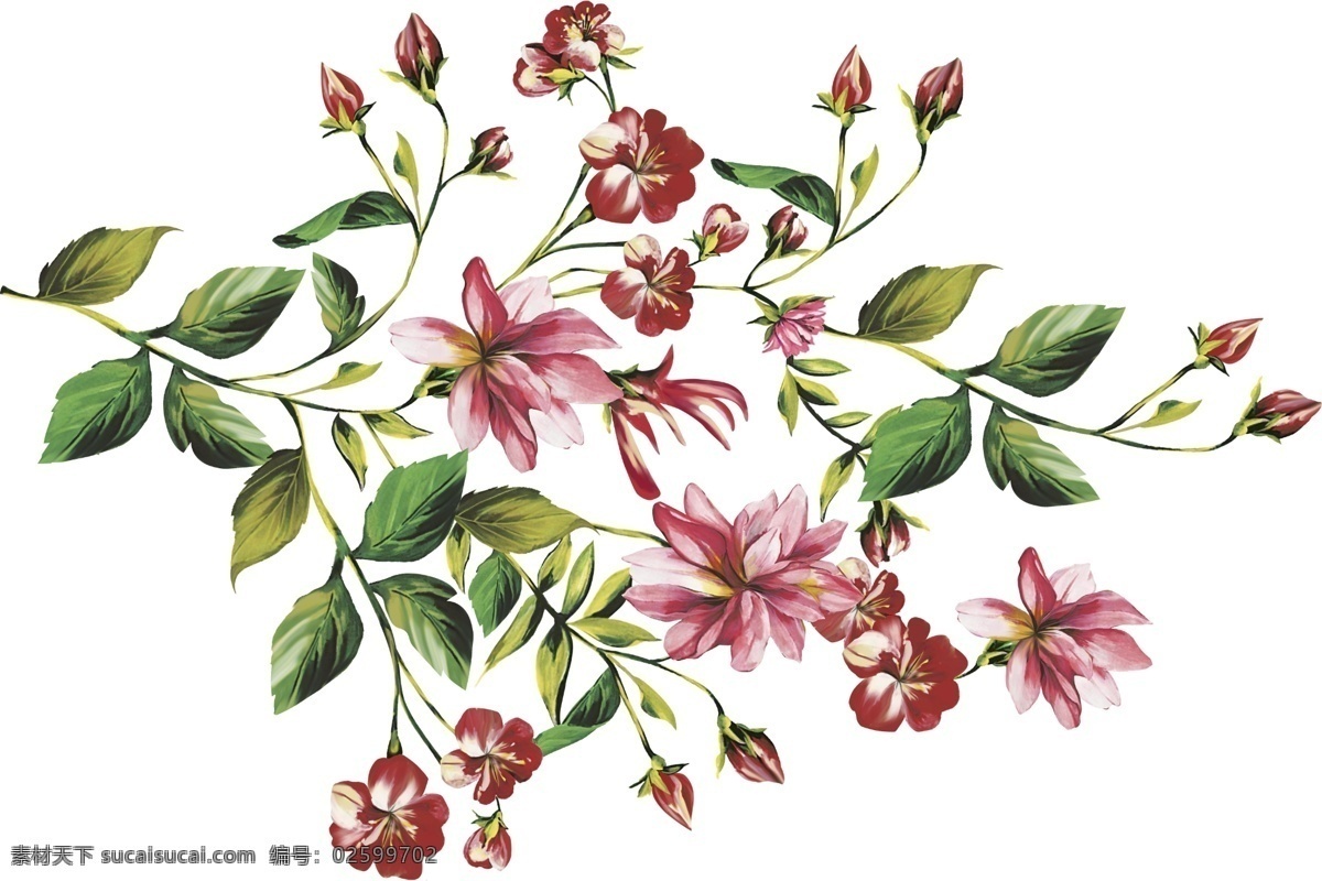 手绘花朵 红色花朵 红色小花 红色大花朵 手绘红色花朵
