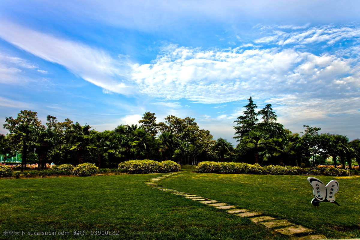 休闲緑地 浦东 北蔡 北中路 风景 自然风景 自然景观