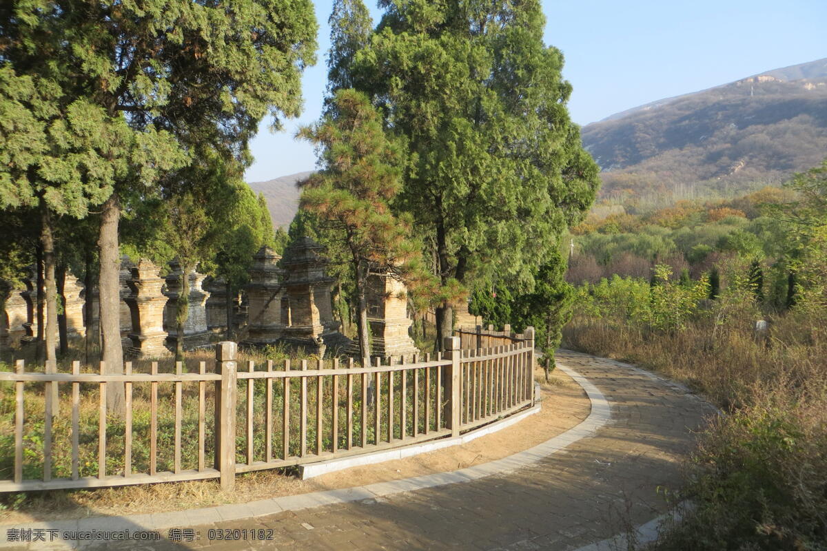 少林寺 塔林 风景 登封 少室山 栅栏 山峦 柏树 道路 少林寺风光 旅游摄影 国内旅游 灰色