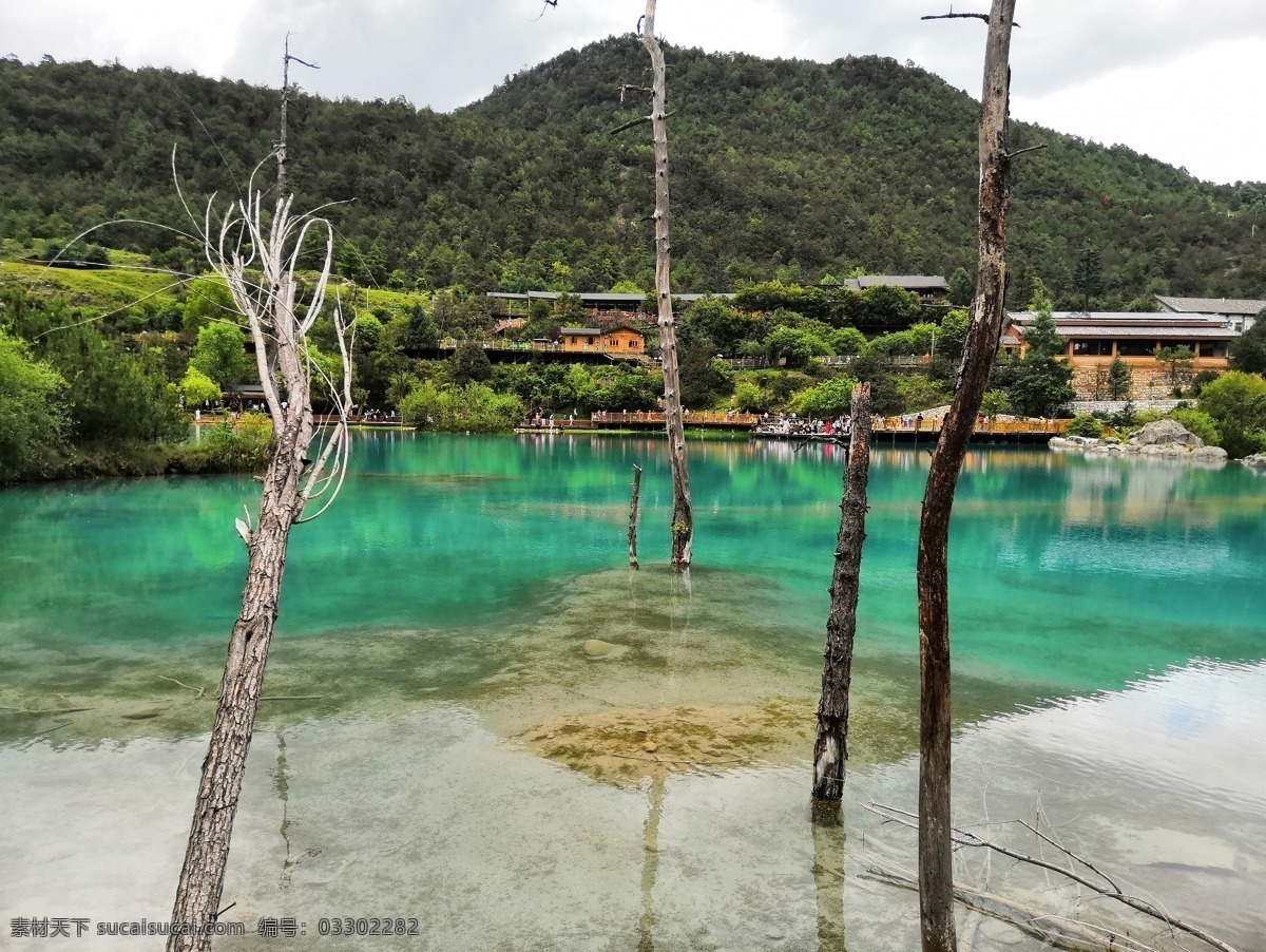 蓝月谷图片 丽江 蓝月谷 枯树 蓝湖 清澈 自然景观 自然风景