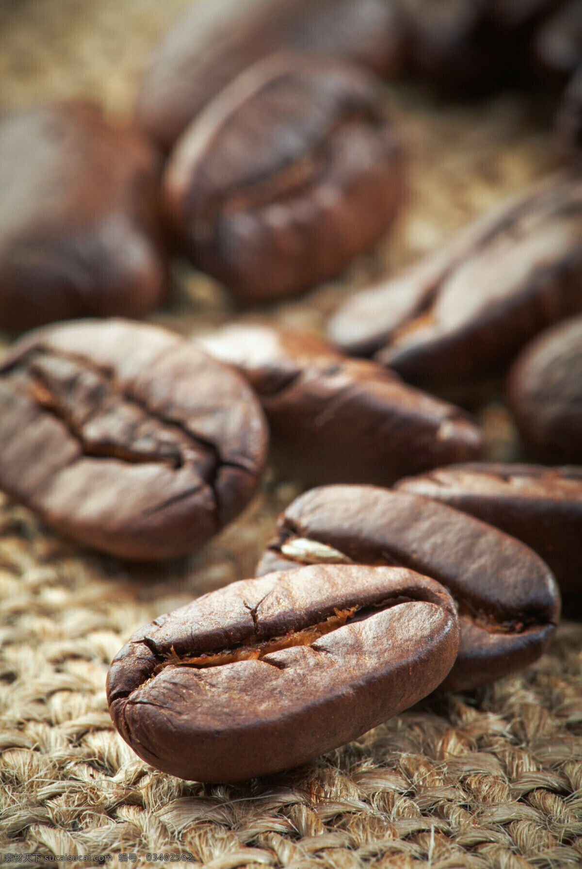 咖啡豆 咖啡 单颗咖啡豆 餐饮美食 咖啡豆背景 咖啡豆特写 食物原料