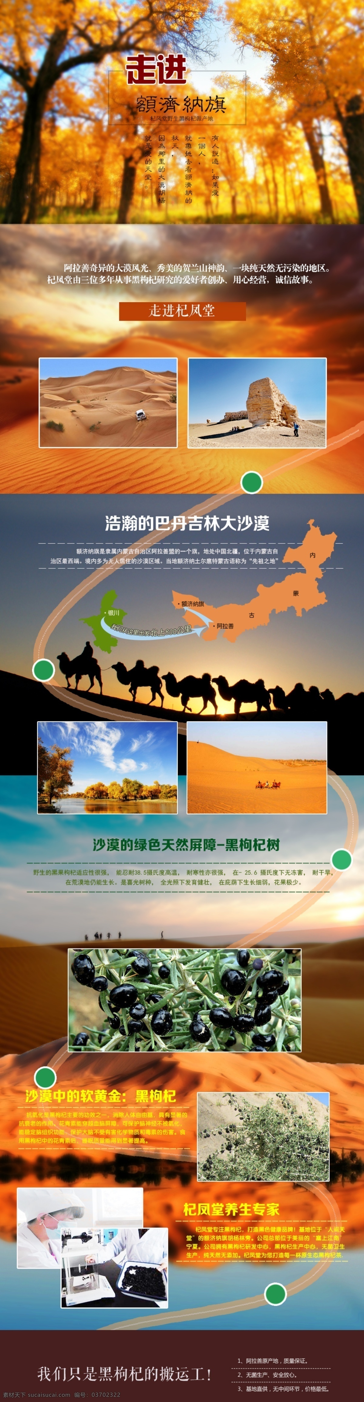 走进 杞 凤 堂 黑 枸杞 淘宝 店铺 首页 装修 黑枸杞 橙色