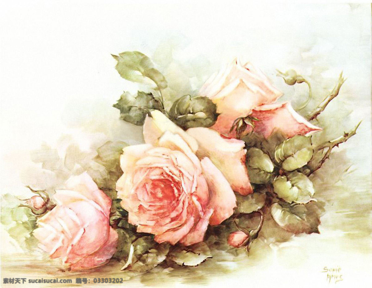 玫瑰花 手绘花卉 手绘花朵 粉色玫瑰花 月季花 花卉 花朵 静物花卉 绘画花朵 国外绘画作品 西式绘画 国外美术作品 油画 水彩作品 绘画书法 文化艺术 花朵素材