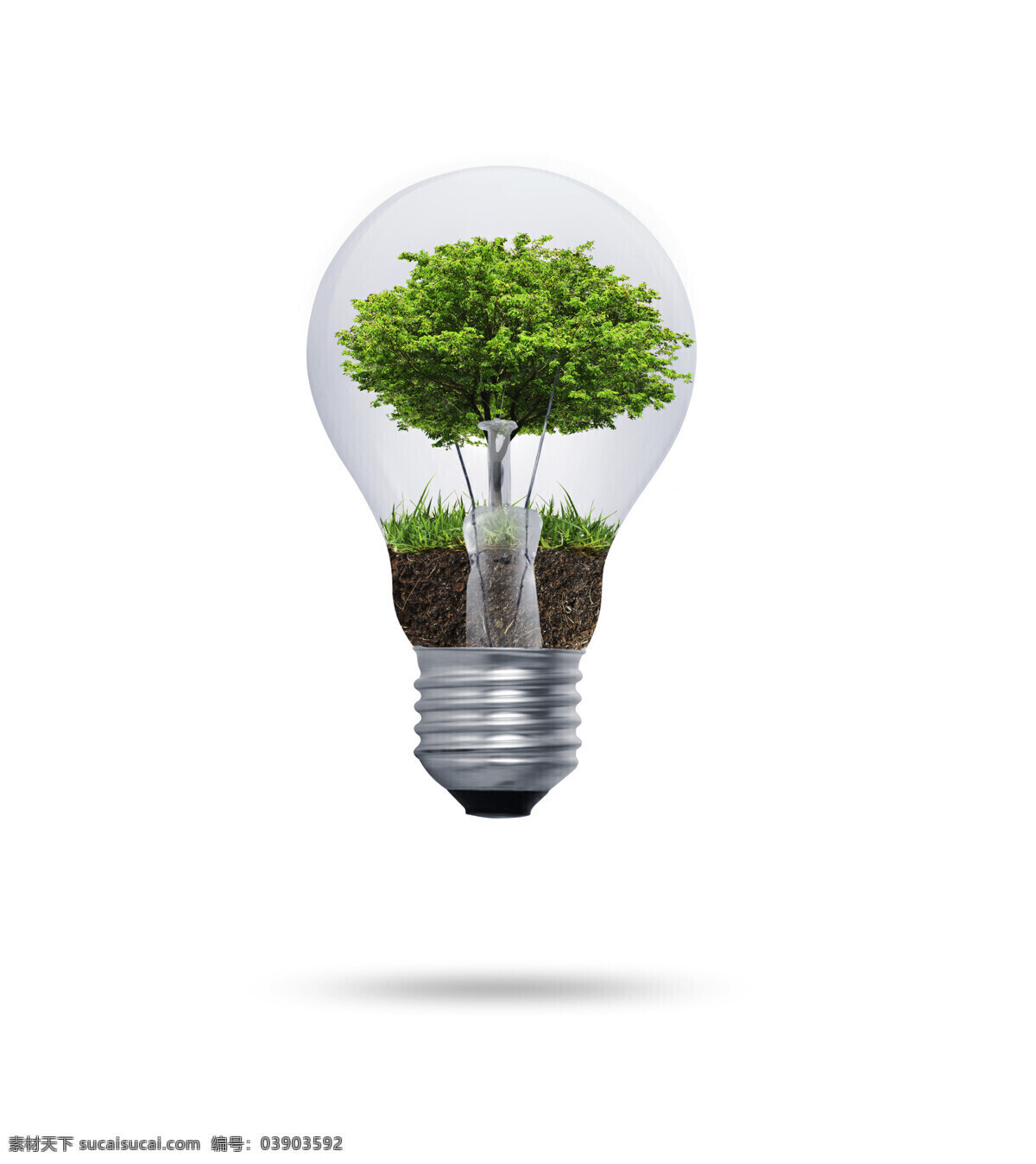 创意电灯设计 草地 土地 大树 植物 电灯 电灯摄影 灯泡 生活用品 节能 环保 其他类别 生活百科 白色