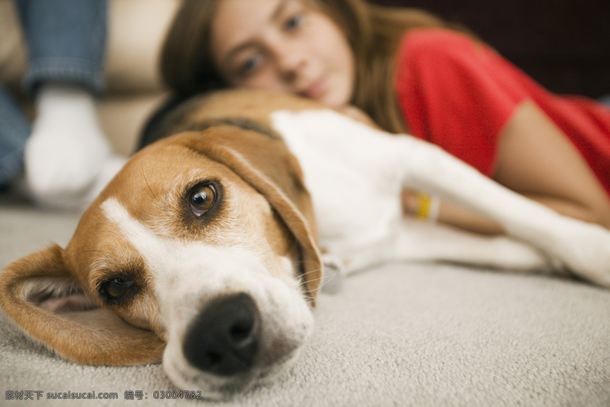 外国 女生 小狗 宠物 宠物狗 可爱 名犬 名贵犬种 犬科动物 可爱儿童 小女孩 陆地动物 生物世界 黑色