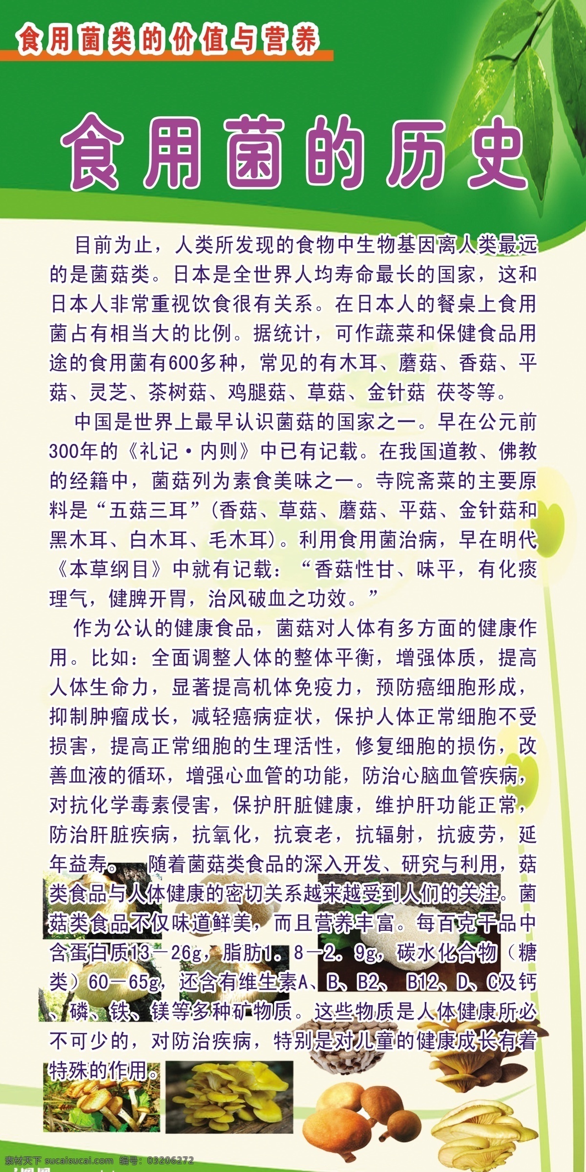 食用菌的历史 菌类 海报 挂图 蘑菇 板报 展板模板 广告设计模板 源文件