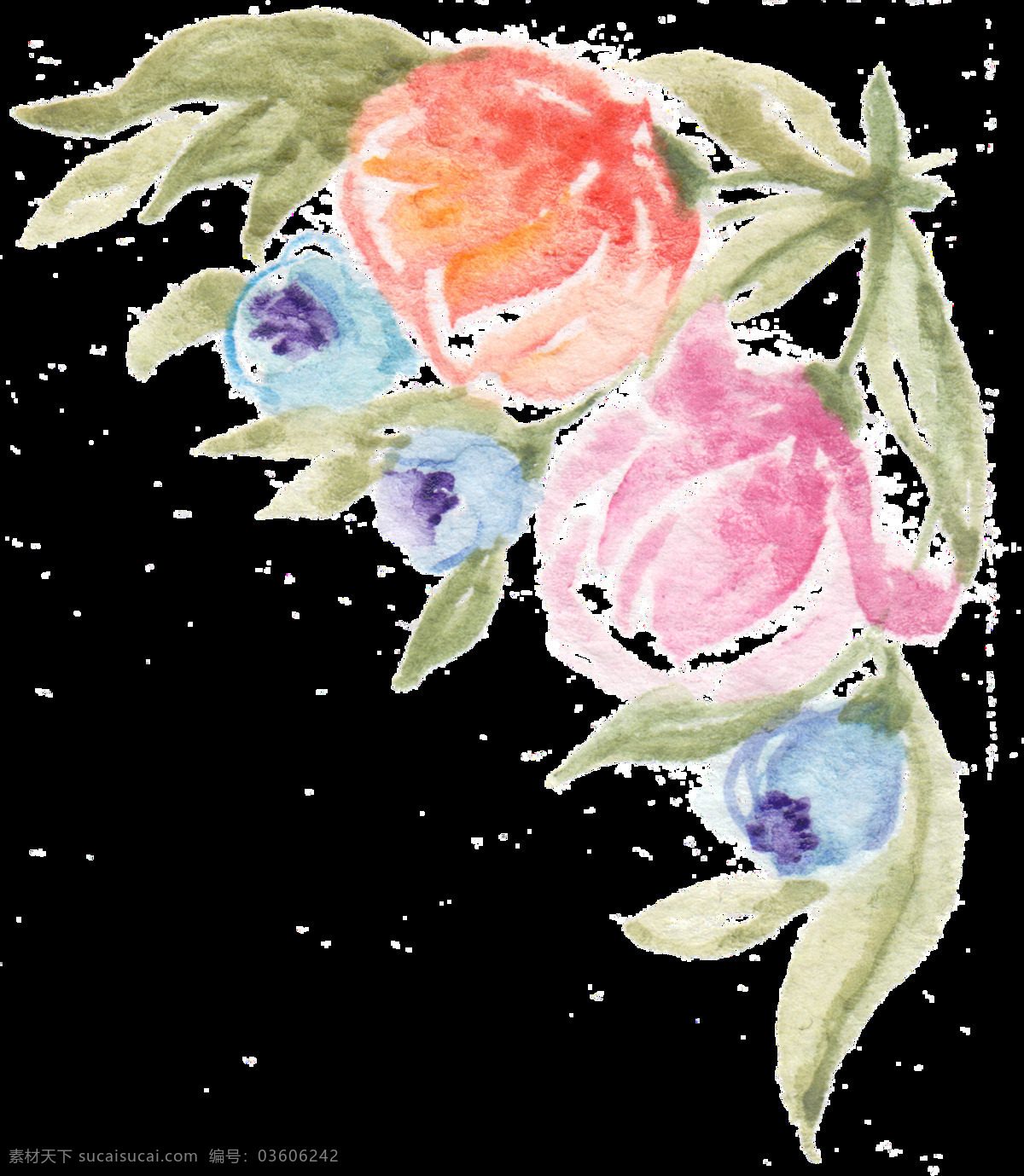 蜡笔 绘画 花卉 透明 卡通 装饰 设计素材 装饰素材