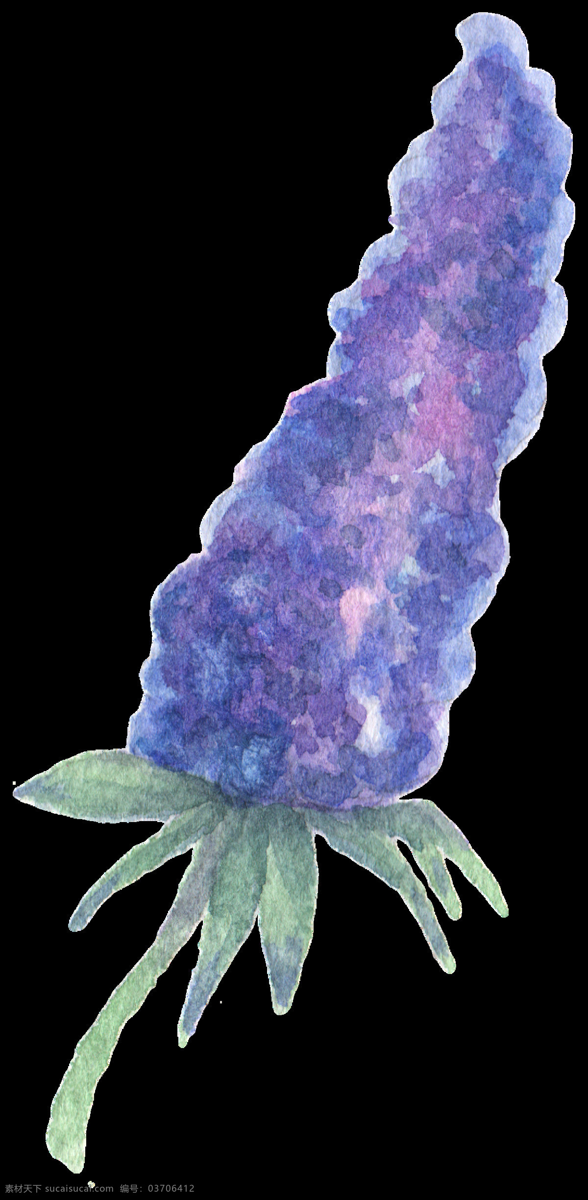 紫罗兰 植物 卡通 水彩 透明 免扣 手绘 透明素材 装饰 设计素材 淘宝素材 海报设计装饰 装饰图案