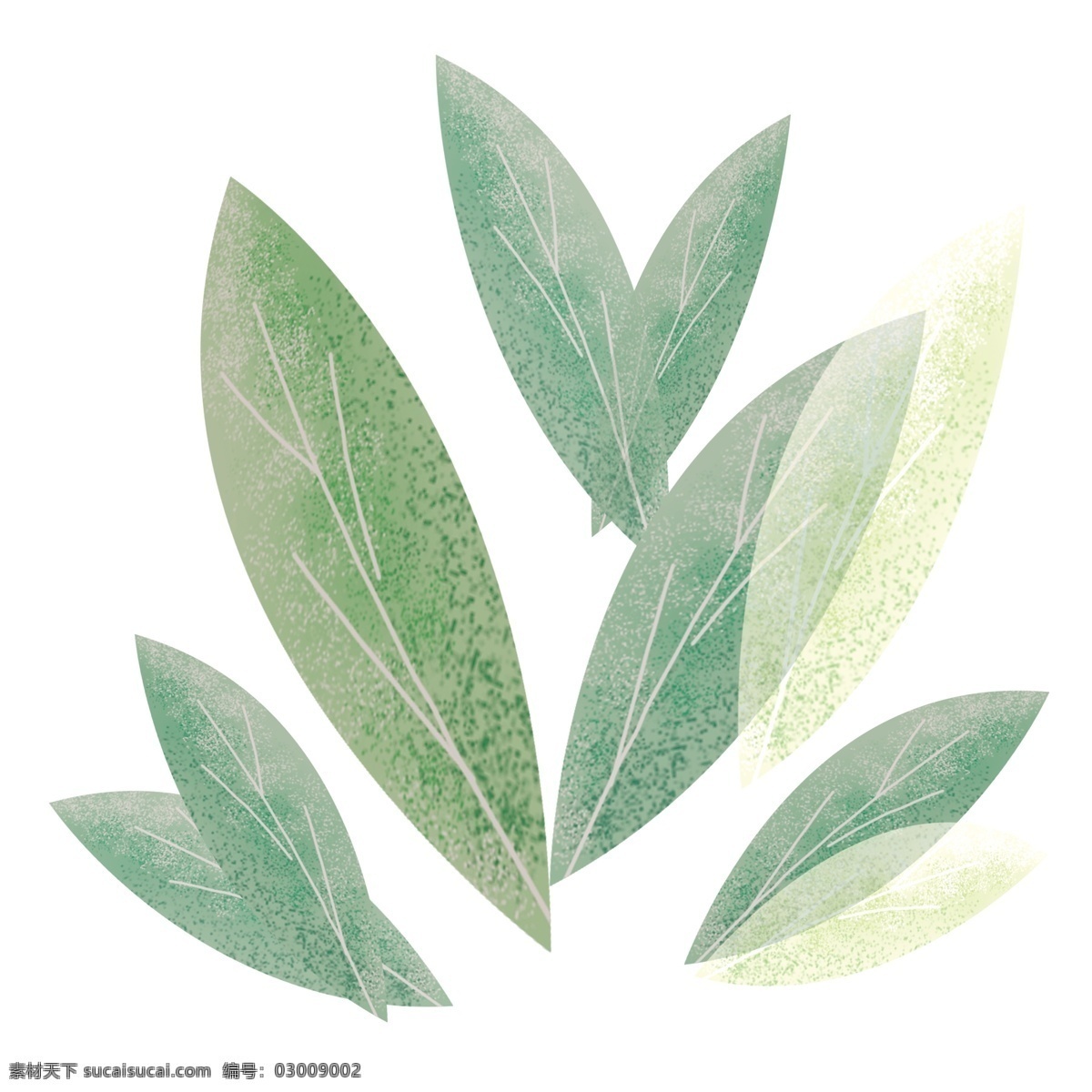 淡 粉色 植物 手绘 透明 卡通素材 叶子 水彩 免 扣 透明素材