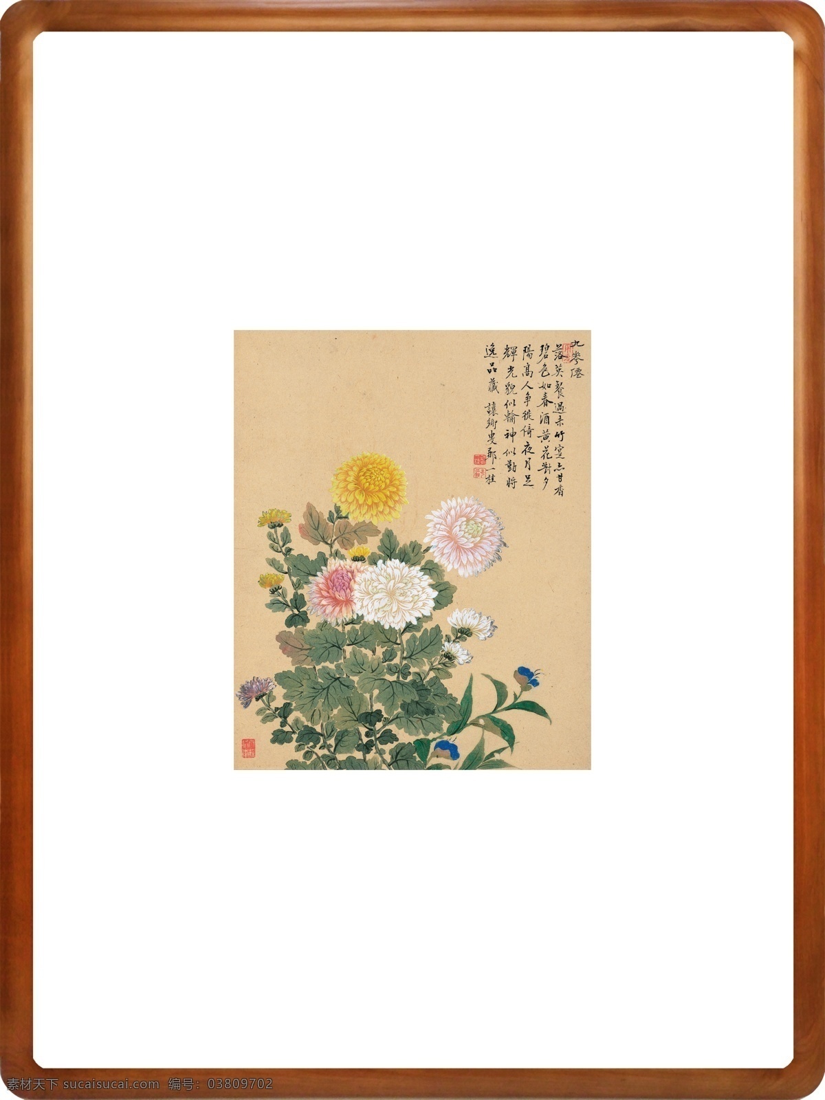 清 邹 桂 花卉 菊花 邹一桂 画 图 高清晰 原图 大尺寸 大图 镜框画 镜框 国画 花鸟 字画 书画 中国画 工笔画 古画 大师 名画 名作 大师书画 写实 彩色 传统名画 大师作品 水墨画 花草 中国风 新中式 花 章 印章 字 书法 毛笔字 字体 收藏 分层