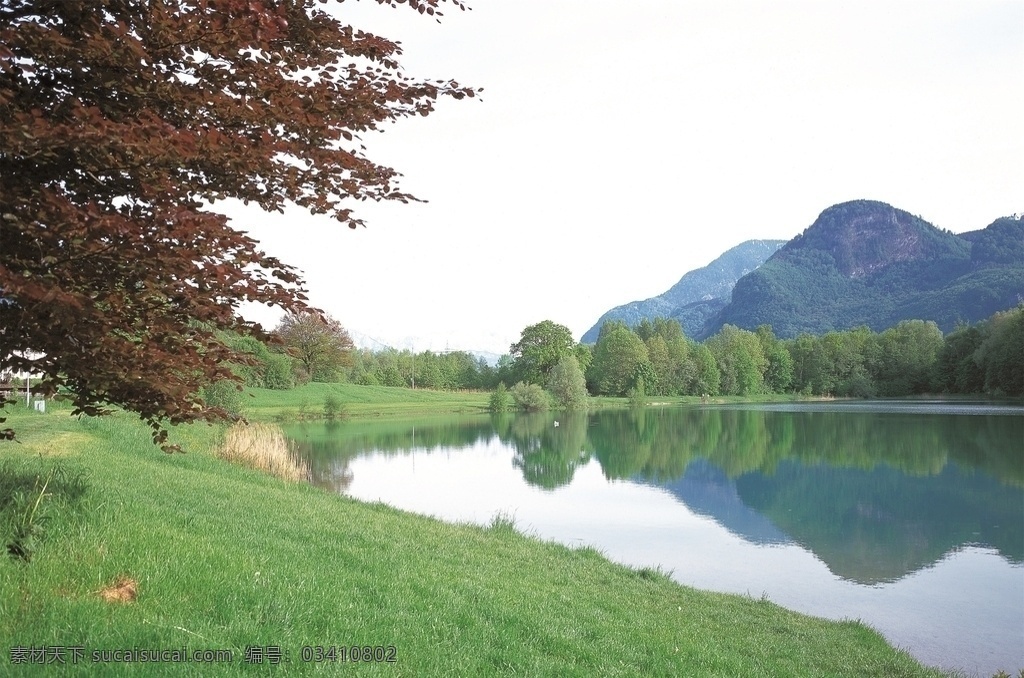 森林风景图片 自然景观 森林风景 行道树 行道树风景 自然风景 唯美风景 风景 风景图片 风景壁纸 大自然风景 自然风光 大自然风光 唯美图片 唯美壁纸 创意图片 植物 植物图片 绿色植物 花草树木 电脑壁纸 美景 美景图片 美景壁纸 旅游风景 森林 森林景观 森林植物