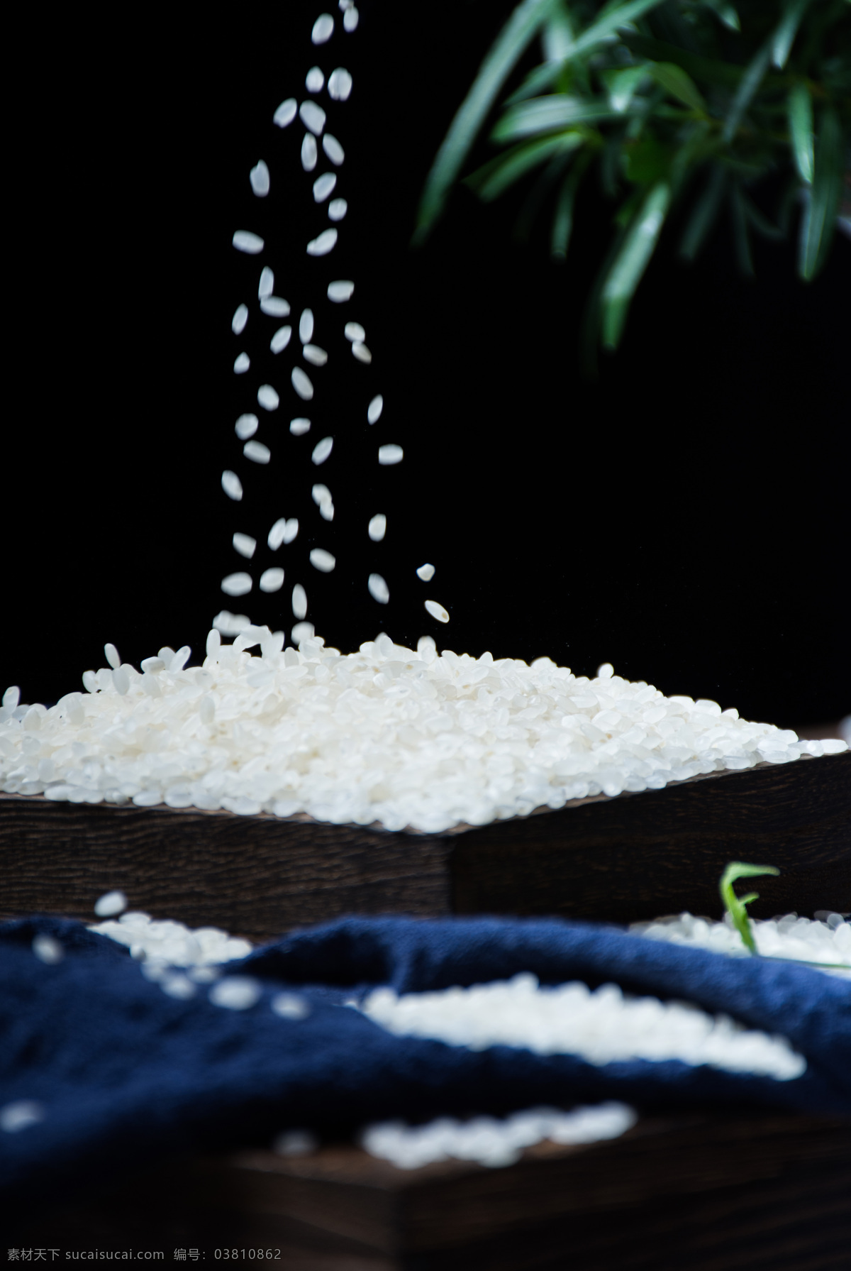 珍珠米 大米饭 米饭 大米 东北大米 粮食 食物 食品 餐饮美食 食物原料