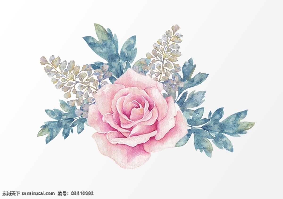花卉 手绘花 插画 花枝 叶子 唯美 花边 水墨婚礼 春天 夏日 花纹 花儿 春暖花开 花朵 婚礼设计 婚礼素材 婚礼 结婚 夏天 素描花 背景 水彩花 水彩 卡通 卡通印花 服装印花 印花 手绘花鸟 花海 繁花 花丛 清新花朵 植物背景 绿色植物 浪漫 花diy