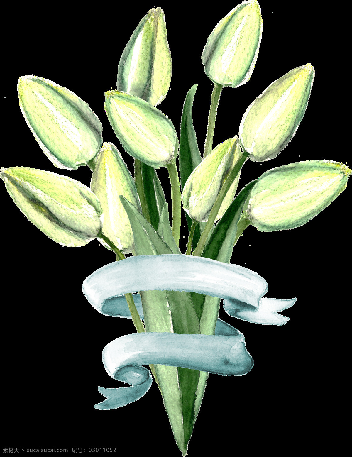 手绘 清新 百合花 透明 手绘图 鲜花 透明素材 装饰素材