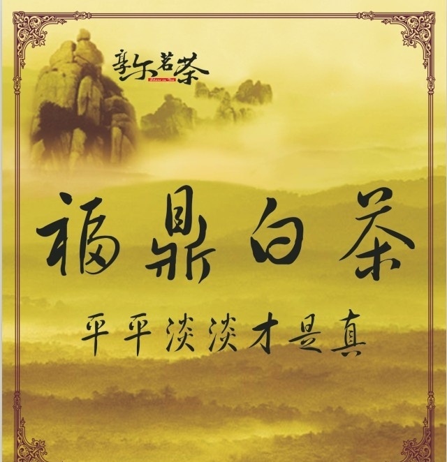 福鼎白茶 福鼎 白茶 风景 山 花纹 海报 武夷山 矢量