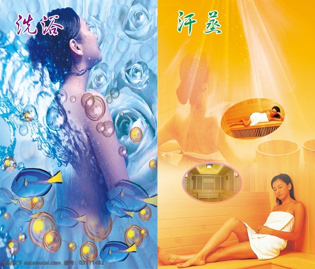 洗浴汗蒸 洗浴 汗蒸 汗蒸房 美女 美女汗蒸 美女洗浴 美女洗澡 气泡 游鱼 鱼 玫瑰 水滴 广告设计模板 源文件
