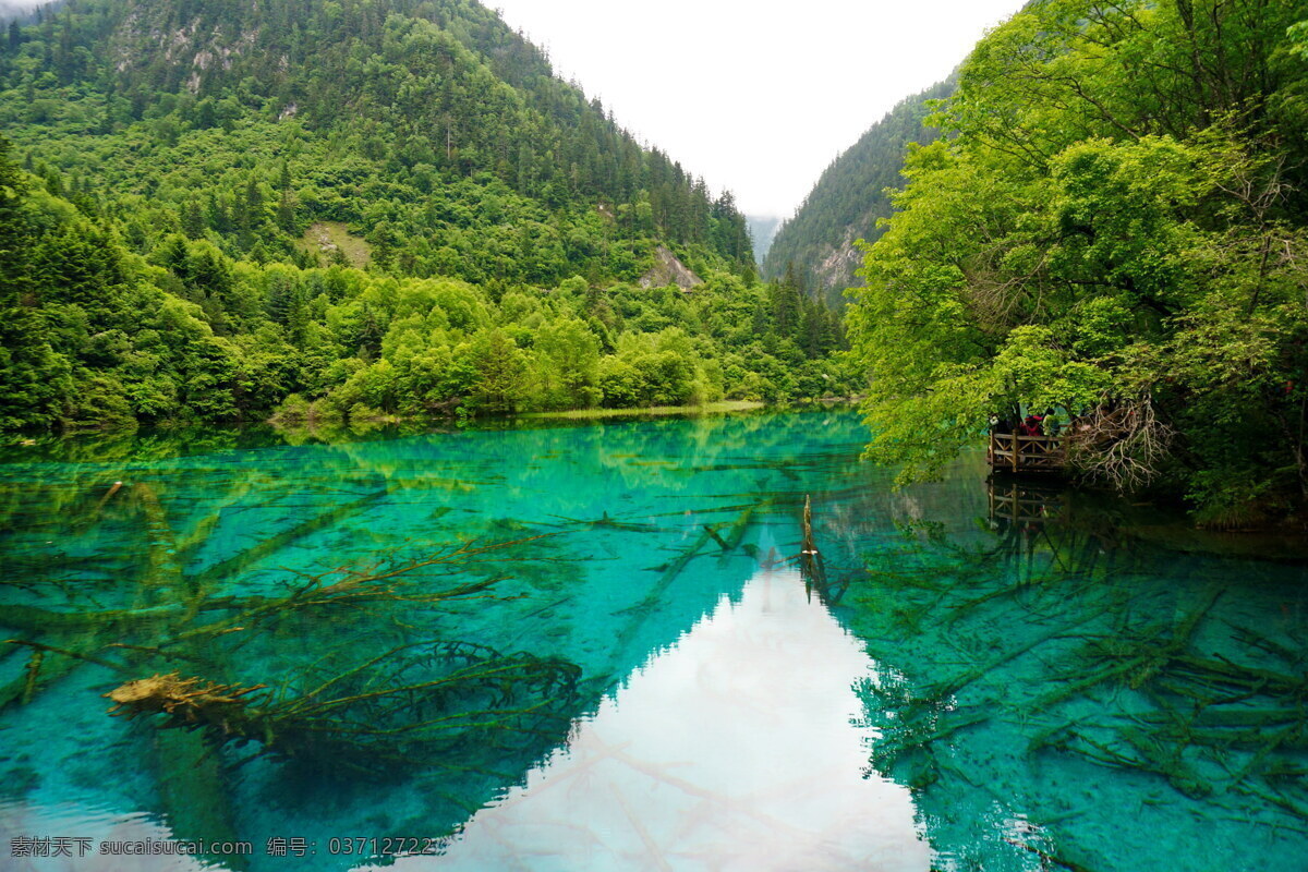 九寨沟 山水风景 中国 四川 山 山峰 高山 水 湖水 流水 溪流 山水 青山绿水 绿水 自然风景 风景图 自然景观