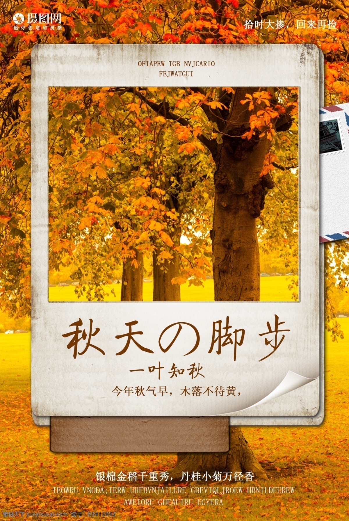 一叶知秋 季节 海报 秋分 秋季 秋天 入秋 落叶 枫叶 枫树 意境 树林