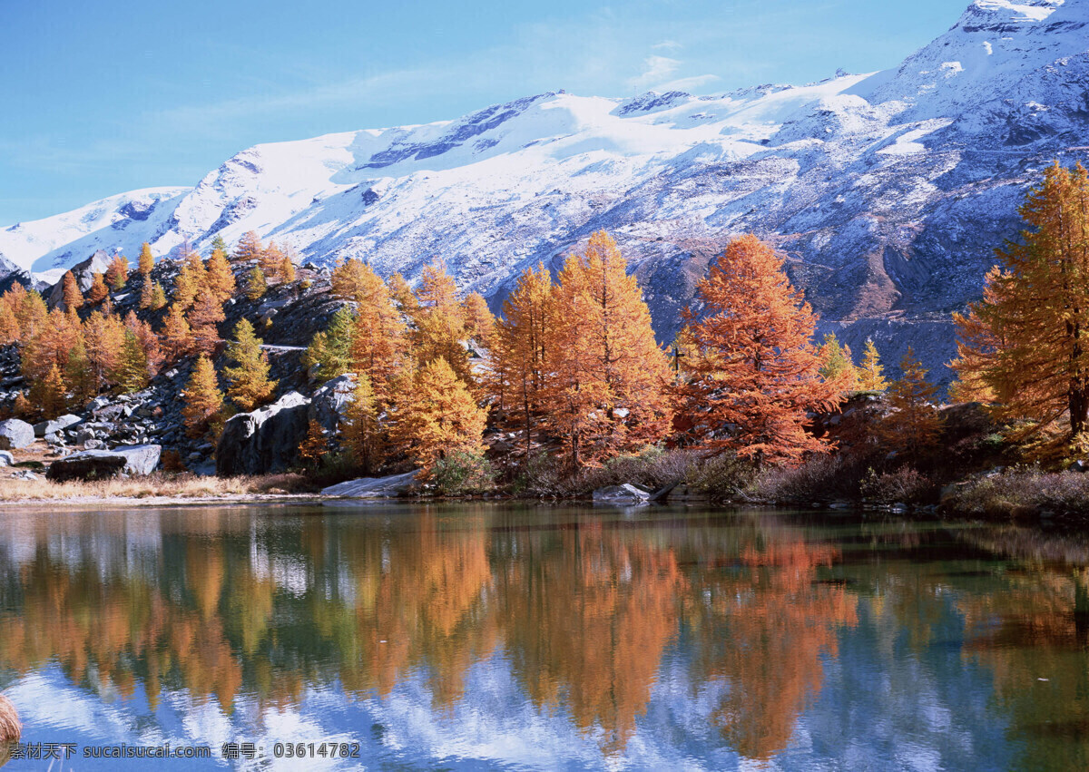 树免费下载 风景 山 山水风景 摄影图 树 植物 自然景观 水 家居装饰素材 山水风景画