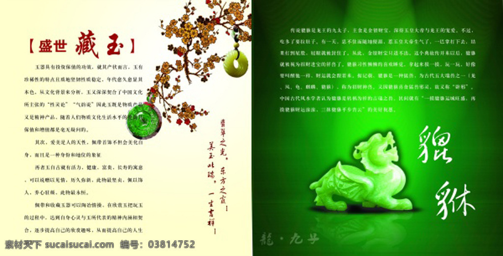 七 巧 珠宝 画册 画册设计 玉雕 玉石 梅花 白色
