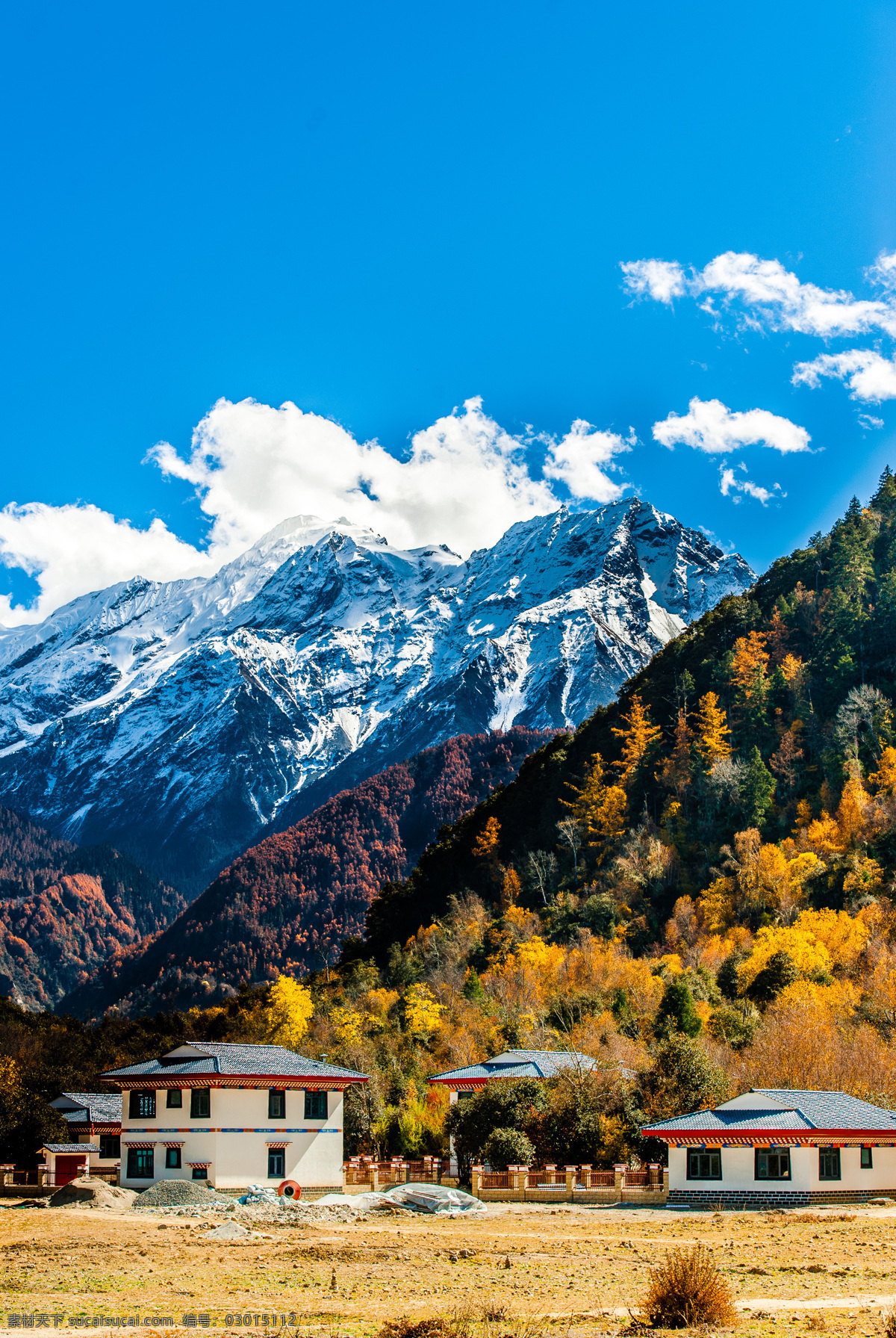 雪山 高山 林芝 柳树 高原 青藏高原 自然景观 自然风景