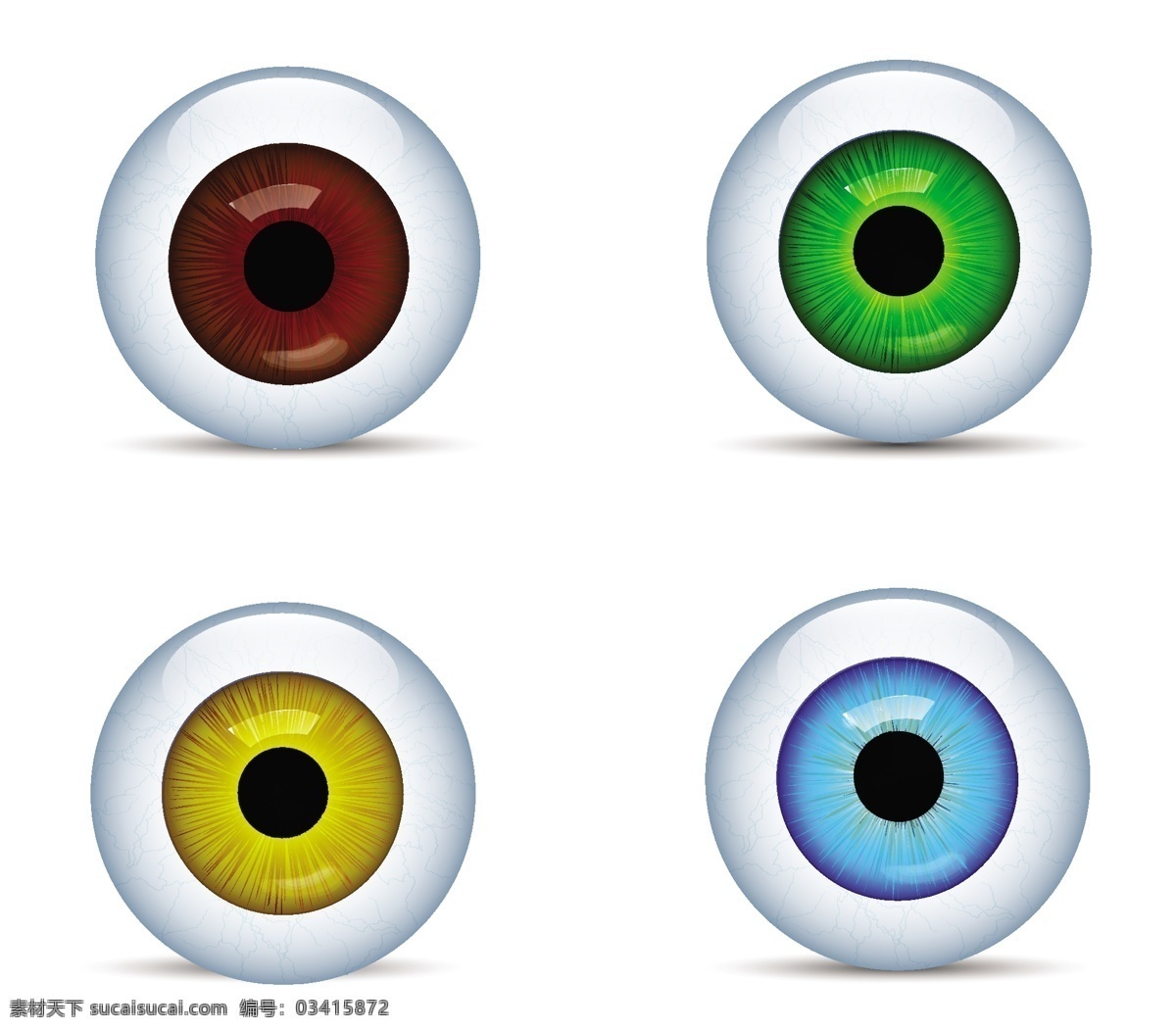 详细 眼球 蓝色的 绿 寻找 特写镜头 集中注意力 人类的眼睛 绘画插图 虹膜 病媒生物 矢量图 其他矢量图