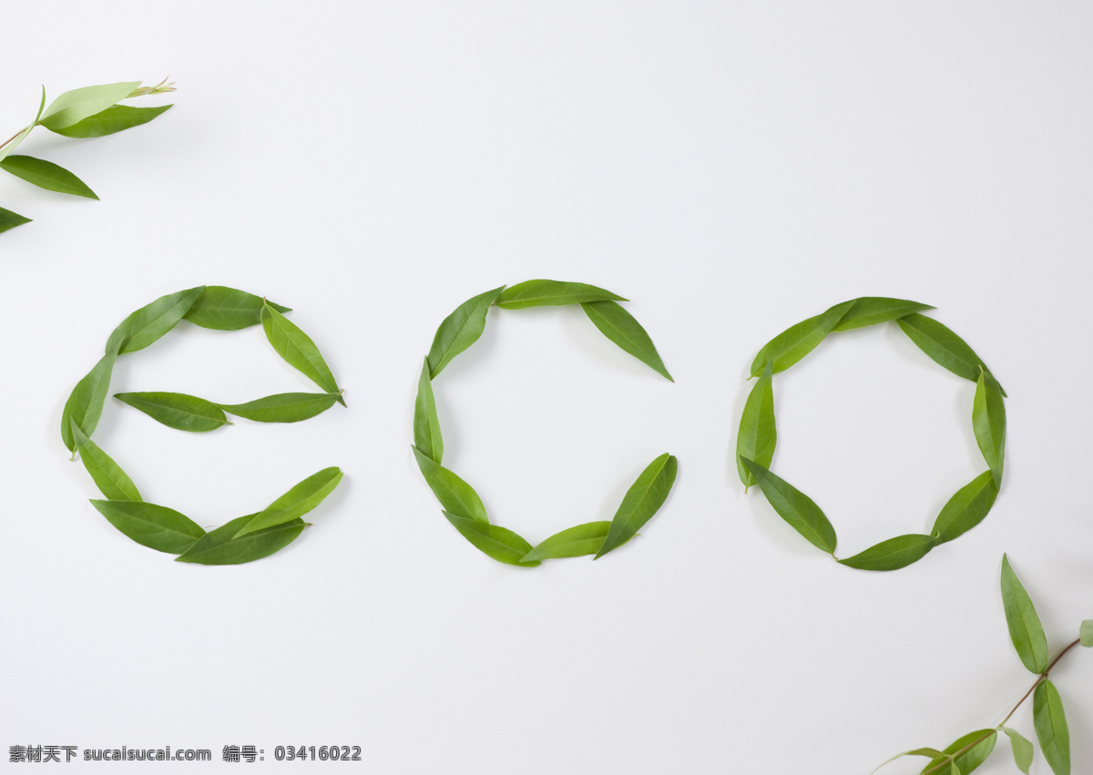 节能 eco 环保 节约 绿色植物 绿叶 生物世界 树叶 青叶 树木树叶 展板 公益展板设计
