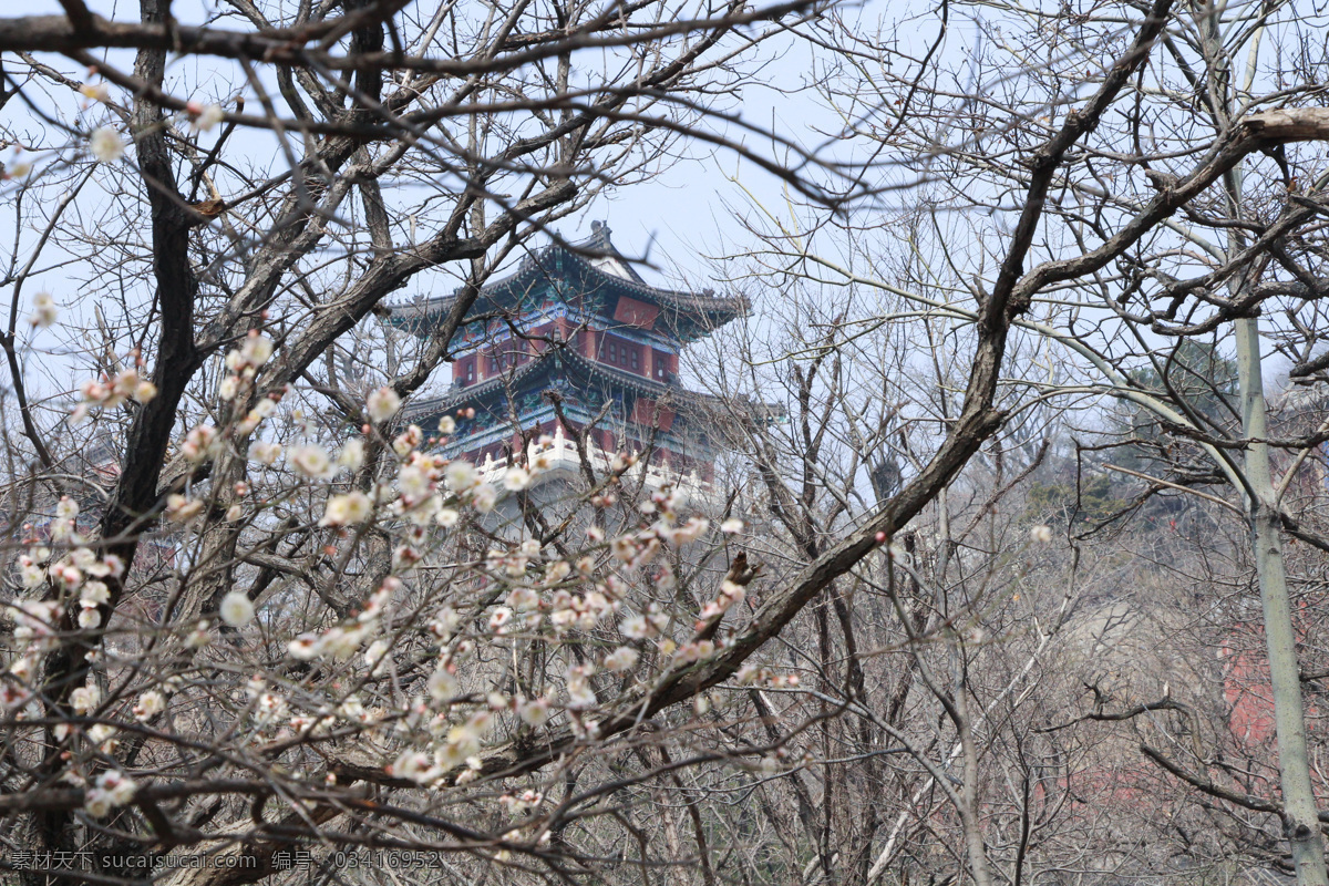春天 桃花 宫殿 花果山 连云港 自然景观 自然风景