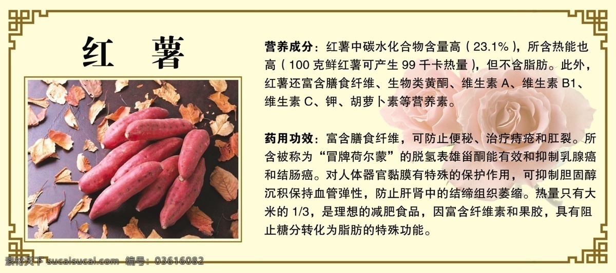 红薯 简介 药用 功效 边框 展板模板 广告设计模板 源文件